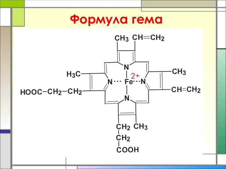 Формула гема 2+ 2+ … …