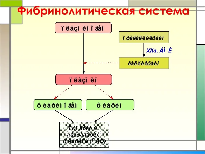 Фибринолитическая система