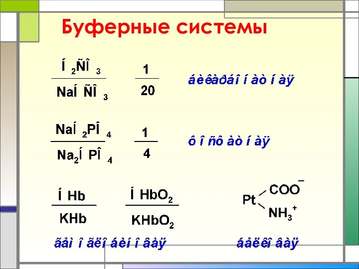 Буферные системы