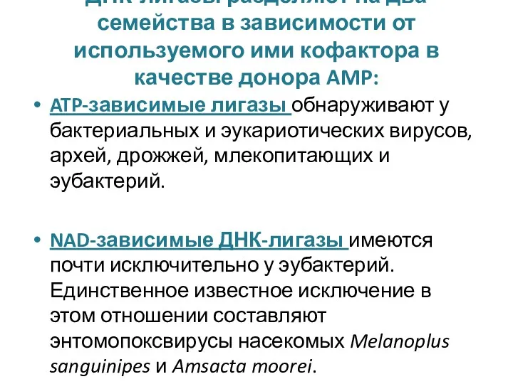 ДНК-лигазы разделяют на два семейства в зависимости от используемого ими