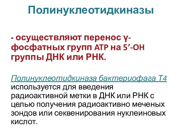 Полинуклеотидкиназы - осуществляют перенос γ-фосфатных групп ATP на 5’-OH группы