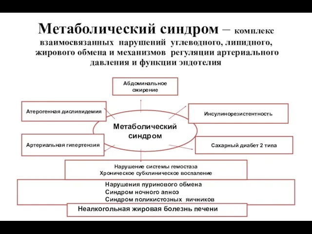 Метаболический синдром – комплекс взаимосвязанных нарушений углеводного, липидного, жирового обмена