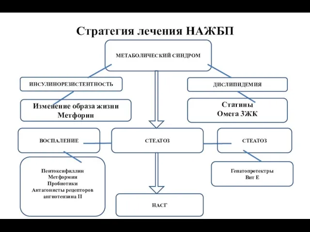 Стратегия лечения НАЖБП МЕТАБОЛИЧЕСКИЙ СИНДРОМ ИНСУЛИНОРЕЗИСТЕНТНОСТЬ ДИСЛИПИДЕМИЯ Изменение образа жизни