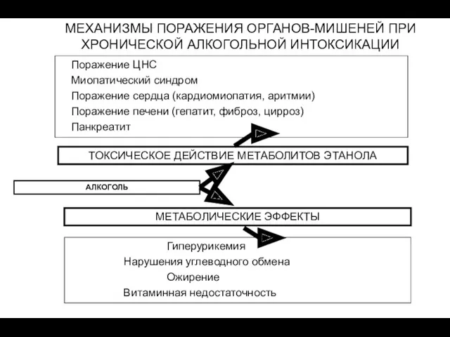 МЕХАНИЗМЫ ПОРАЖЕНИЯ ОРГАНОВ-МИШЕНЕЙ ПРИ ХРОНИЧЕСКОЙ АЛКОГОЛЬНОЙ ИНТОКСИКАЦИИ АЛКОГОЛЬ ТОКСИЧЕСКОЕ ДЕЙСТВИЕ