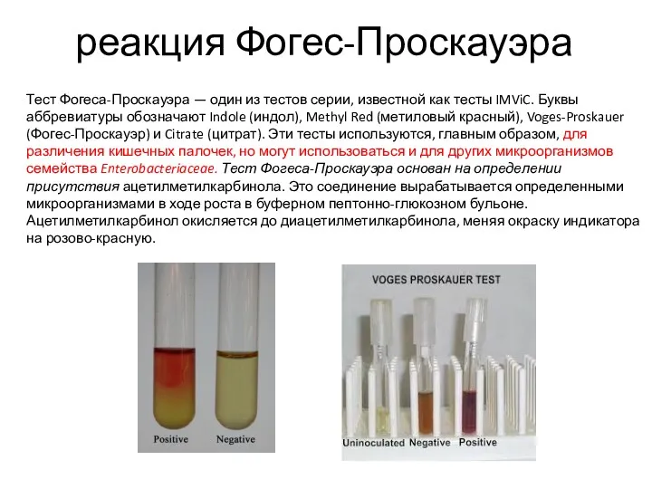 реакция Фогес-Проскауэра Тест Фогеса-Проскауэра — один из тестов серии, известной