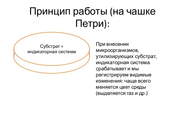 Принцип работы (на чашке Петри): Субстрат + индикаторная система Субстрат