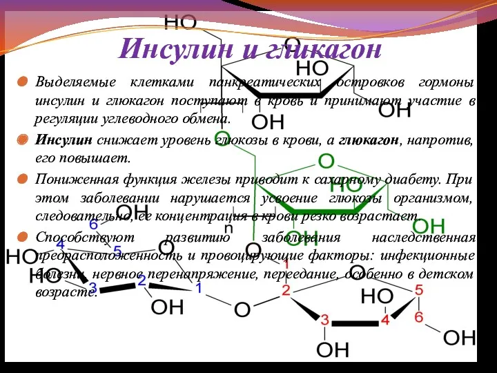 Инсулин и гликагон Выделяемые клетками панкреатических островков гормоны инсулин и