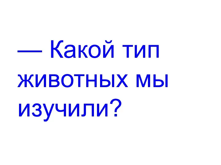 — Какой тип животных мы изучили?