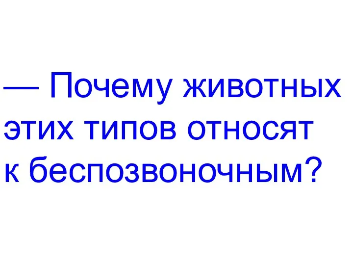 — Почему животных этих типов относят к беспозвоночным?