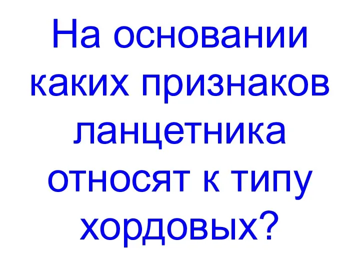 На основании каких признаков ланцетника относят к типу хордовых?