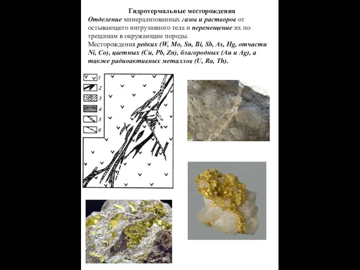 Гидротермальные месторождения Отделение минерализованных газов и растворов от остывающего интрузивного