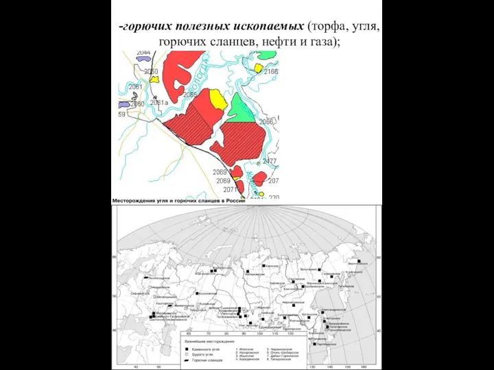 горючих полезных ископаемых (торфа, угля, горючих сланцев, нефти и газа);