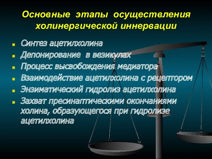 Основные этапы осуществления холинергической иннервации Синтез ацетилхолина Депонирование в везикулах