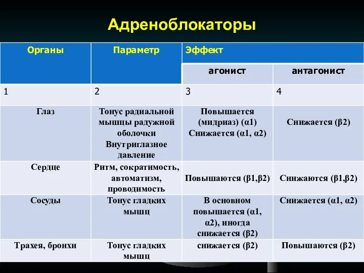 Адреноблокаторы