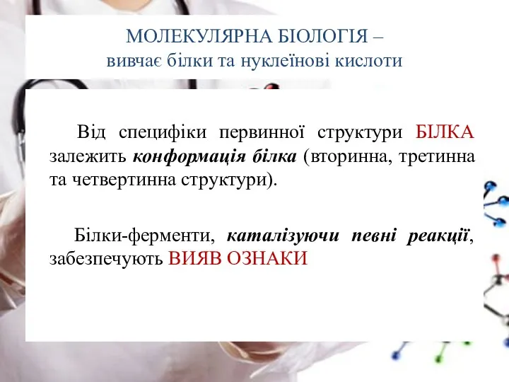 МОЛЕКУЛЯРНА БІОЛОГІЯ – вивчає білки та нуклеїнові кислоти Від специфіки