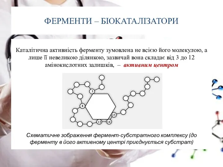 ФЕРМЕНТИ – БІОКАТАЛІЗАТОРИ Каталітична активність ферменту зумовлена не всією його