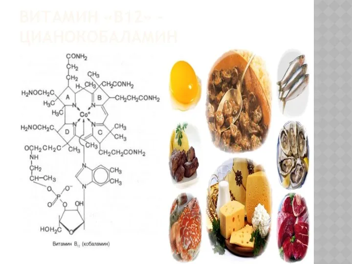 ВИТАМИН «В12» - ЦИАНОКОБАЛАМИН