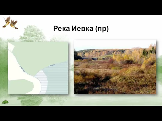 Река Иевка (пр)