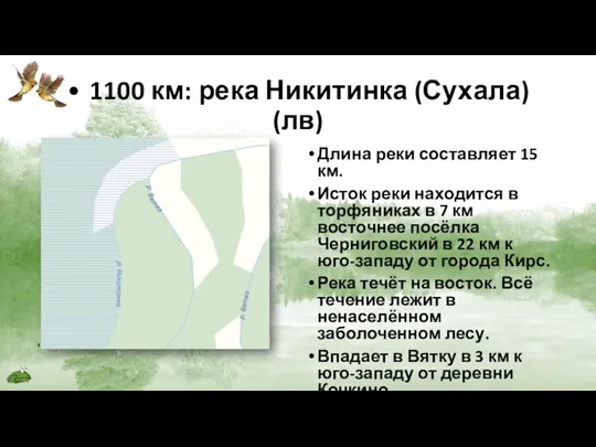 • 1100 км: река Никитинка (Сухала) (лв) Длина реки составляет