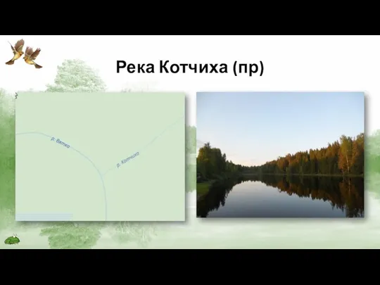 Река Котчиха (пр)