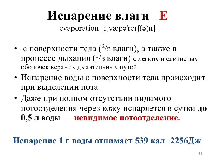 Испарение влаги Е evaporation [ɪˌvæpə'reɪʃ(ə)n] с поверхности тела (2/з влаги),