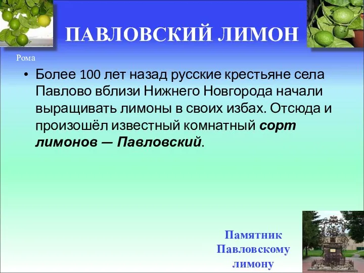 ПАВЛОВСКИЙ ЛИМОН Более 100 лет назад русские крестьяне села Павлово