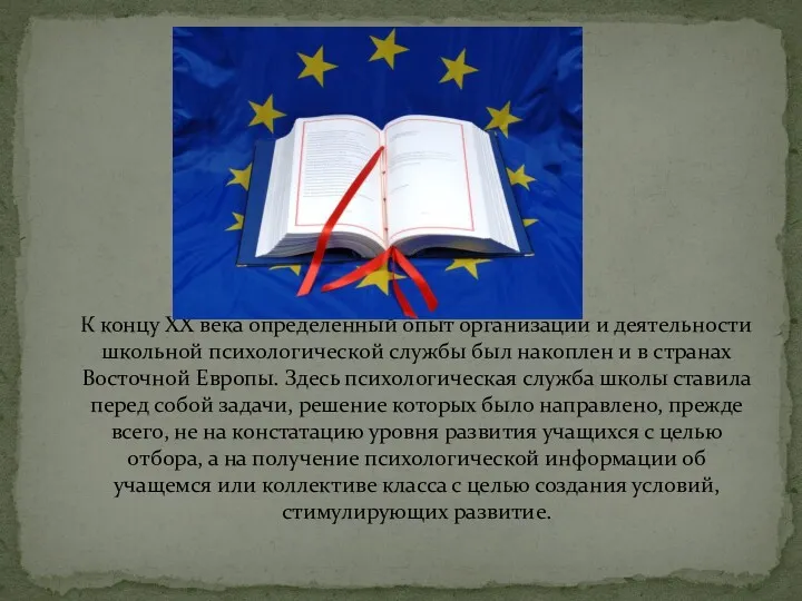 К концу XX века определенный опыт организации и деятельности школьной