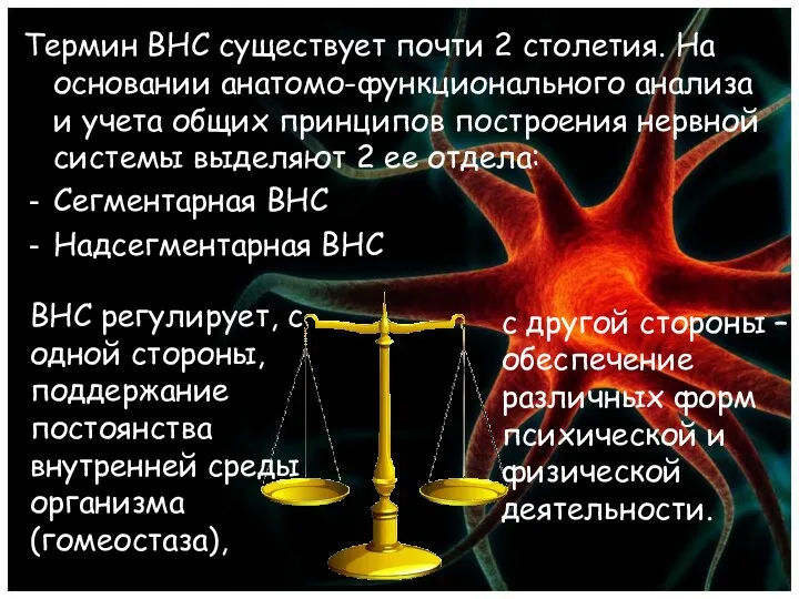 Термин ВНС существует почти 2 столетия. На основании анатомо-функционального анализа