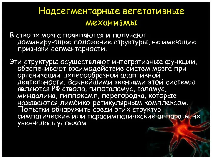 Надсегментарные вегетативные механизмы В стволе мозга появляются и получают доминирующее