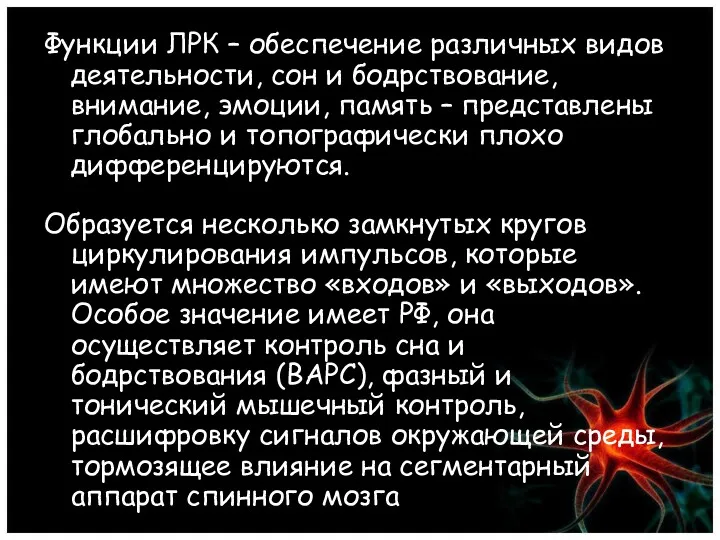 Функции ЛРК – обеспечение различных видов деятельности, сон и бодрствование,