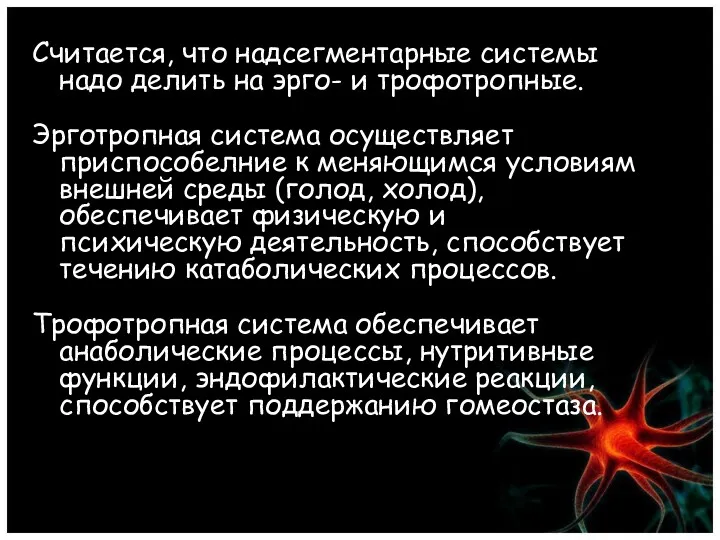 Считается, что надсегментарные системы надо делить на эрго- и трофотропные.