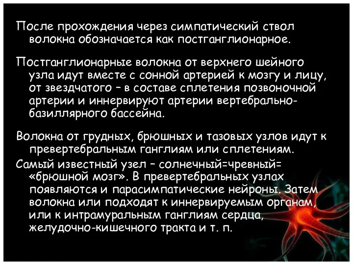 После прохождения через симпатический ствол волокна обозначается как постганглионарное. Постганглионарные