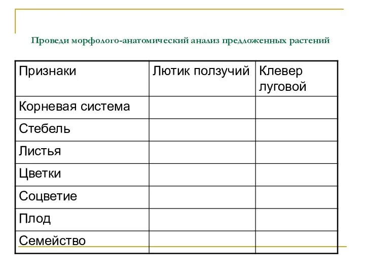 Проведи морфолого-анатомический анализ предложенных растений