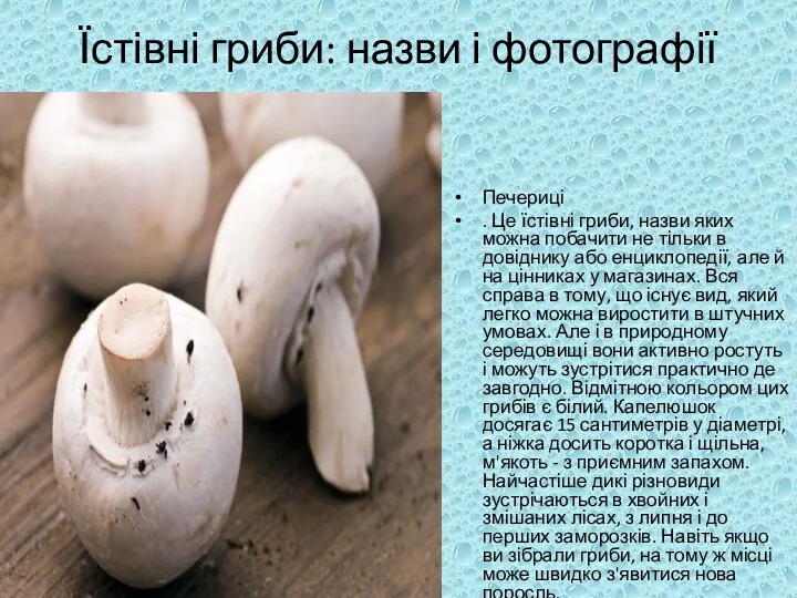 Їстівні гриби: назви і фотографії Печериці . Це їстівні гриби,