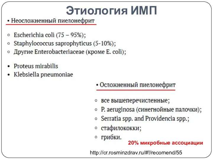 Этиология ИМП http://cr.rosminzdrav.ru/#!/recomend/55 20% микробные ассоциации