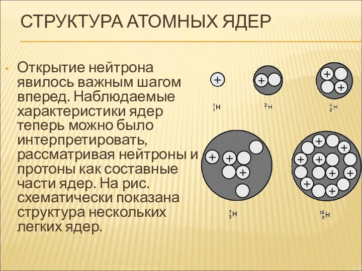 СТРУКТУРА АТОМНЫХ ЯДЕР Открытие нейтрона явилось важным шагом вперед. Наблюдаемые