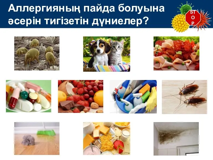 STOP Аллергияның пайда болуына әсерін тигізетін дүниелер?