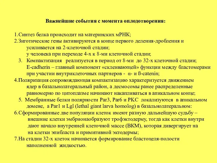 Важнейшие события с момента оплодотворения: Синтез белка происходит на материнских