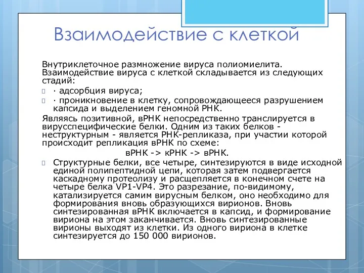 Взаимодействие с клеткой Внутриклеточное размножение вируса полиомиелита. Взаимодействие вируса с