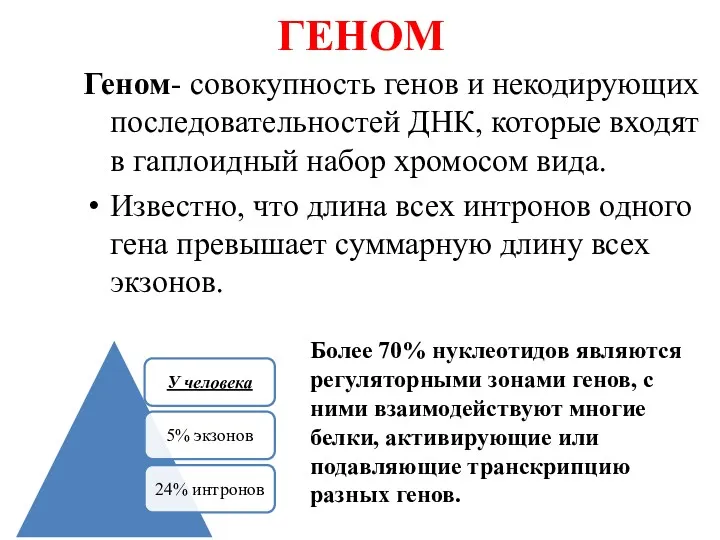 ГЕНОМ Геном- совокупность генов и некодирующих последовательностей ДНК, которые входят