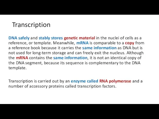 Transcription DNA safely and stably stores genetic material in the