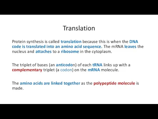 Translation Protein synthesis is called translation because this is when