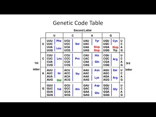 Genetic Code Table