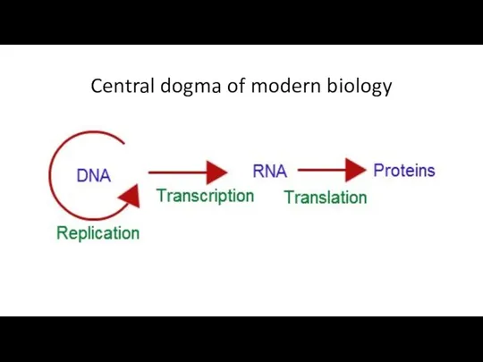 Central dogma of modern biology