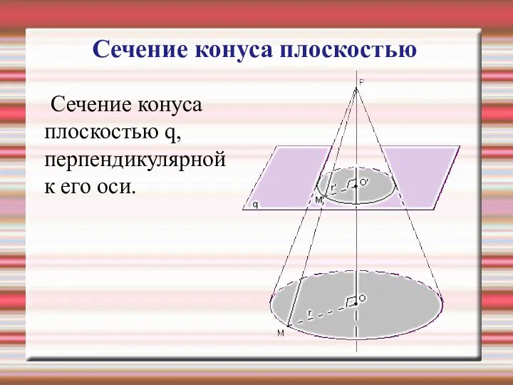 Сечение конуса плоскостью q, перпендикулярной к его оси. Сечение конуса плоскостью