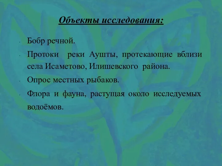 Объекты исследования: Бобр речной. Протоки реки Аушты, протекающие вблизи села