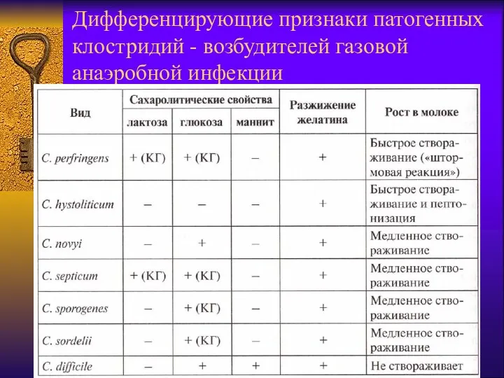 Дифференцирующие признаки патогенных клостридий - возбудителей газовой анаэробной инфекции