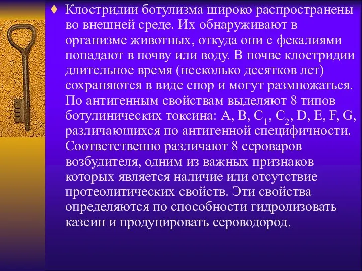 Клостридии ботулизма широко распространены во внешней среде. Их обнаруживают в