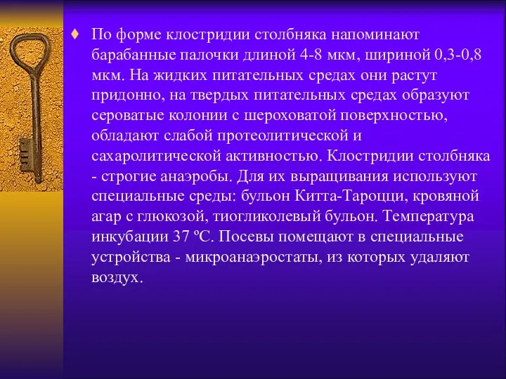 По форме клостридии столбняка напоминают барабанные палочки длиной 4-8 мкм,