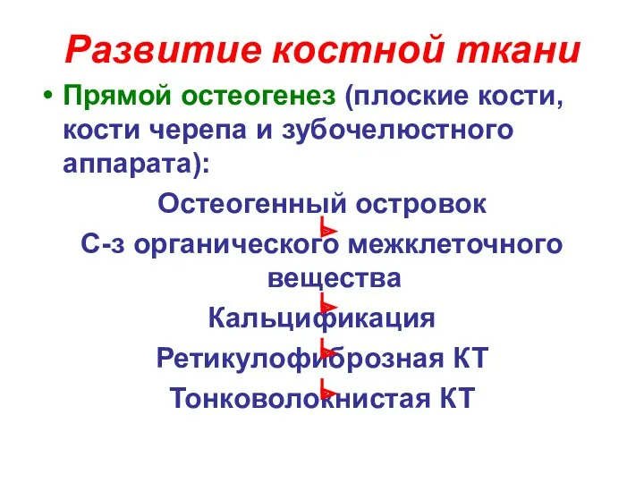 Развитие костной ткани Прямой остеогенез (плоские кости, кости черепа и